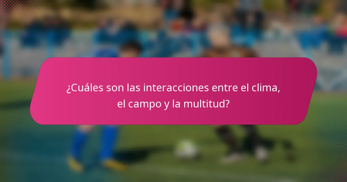 ¿Cuáles son las interacciones entre el clima, el campo y la multitud?